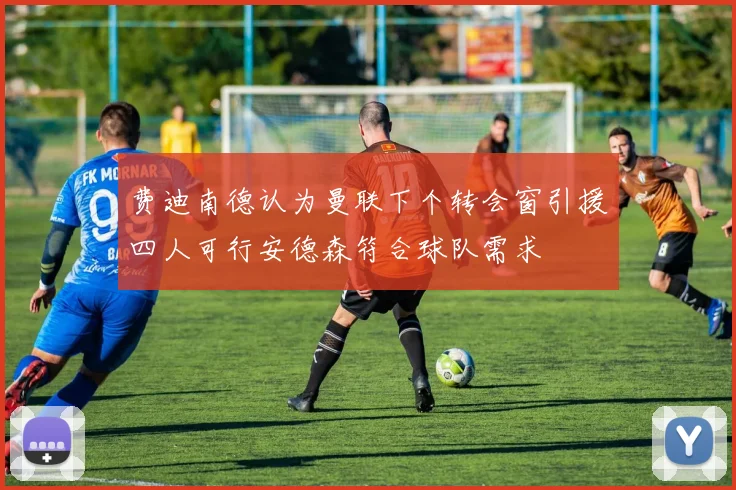 费迪南德认为曼联下个转会窗引援四人可行安德森符合球队需求
